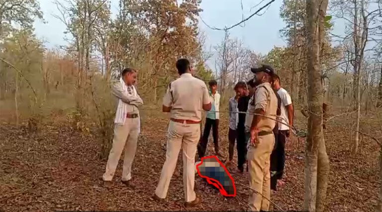 kalimaai