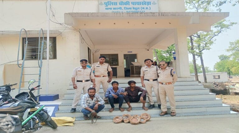 पाथाखेडा पुलिस द्वारा 24 घंटे के अंदर किया चोरी का खुलासा 13 chori