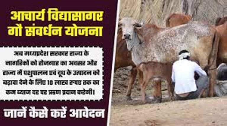 आचार्य विद्यासागर गौसंवर्धन योजना के तहत 10 लाख रूपये का ऋण 29 gou