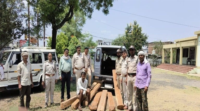 वन विभाग की बड़ी करवाही सागौन किया जप्त 21 sagoun