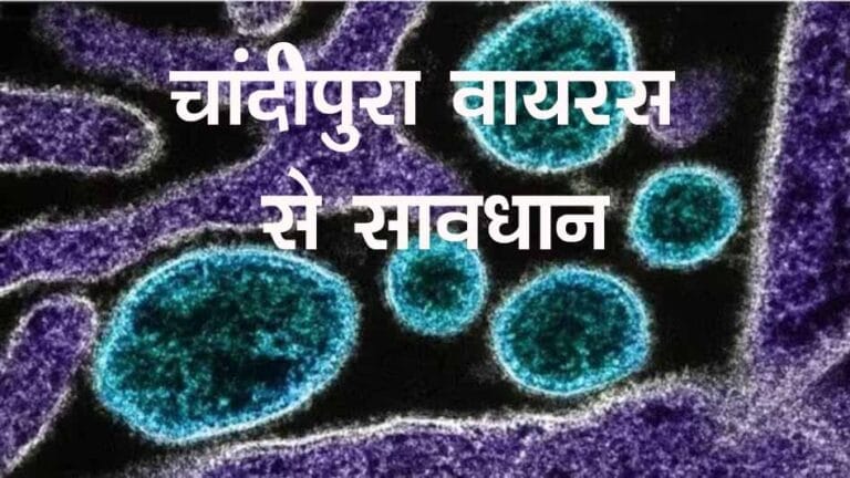 चांदीपुरा वायरस को लेकर MP में अलर्ट -फिलहाल कोई मामला नहीं 1 chandipura
