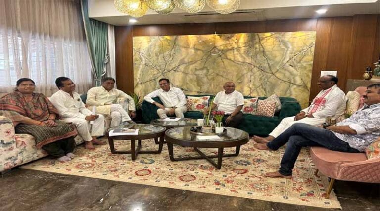 संगठन पर्व को लेकर बैठक संपन्न केन्द्रीय राज्यमंत्री भाजपा जिलाध्यक्ष सहित पांचो विधायक शामिल 33 hemant