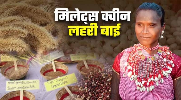 मणिकर्णिका सम्मान से नवाजी जाएगी पदमश्री दुर्गा बाई-मिलेट क्वीन लहरी 24 milrt
