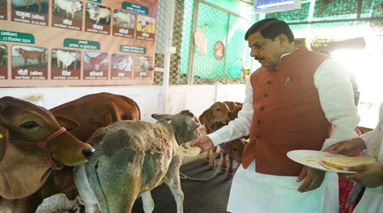 प्रधानमंत्री श्री मोदी ने दी मुख्यमंत्री डॉ. यादव को जन्मदिन की बधाई दी 3 cm