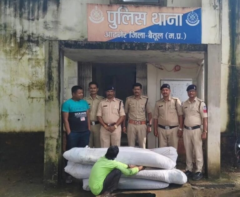 अवैध गांजा की खेती पर बड़ी कार्यवाही – 1700 पौधे जप्त, आरोपी गिरफ्तार 1 FB_IMG_1759107698030