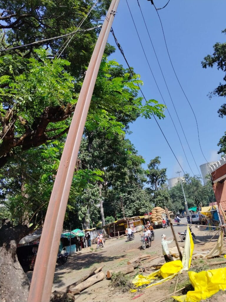 नगर पालिका की लापरवाही, जय स्तंभ चौक के पास 11 KV लाइन पर गिरा पेड़ तार टूटे बड़ा हादसा टला 20 IMG-20251106-WA0472