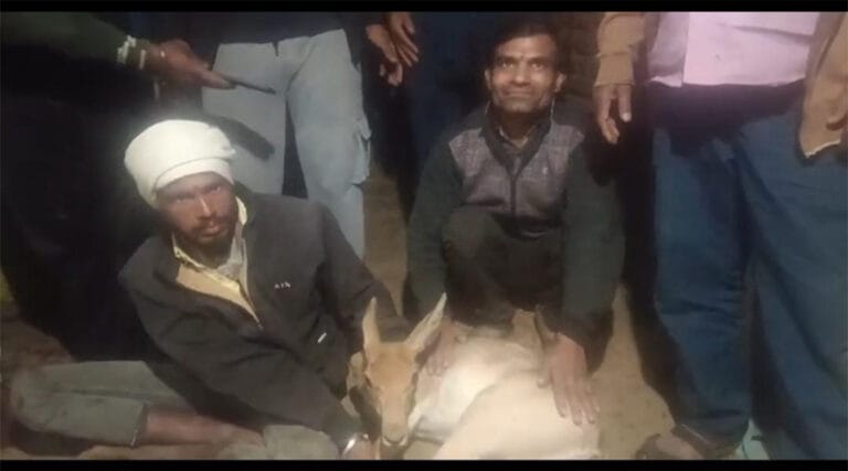 राजेन्द्र पंडागरे ने कुत्तों से बचाई हिरण की जान, नेक कार्य की सर्वत्र हो रही प्रशंसा 13 123