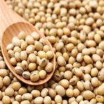 soyabin
