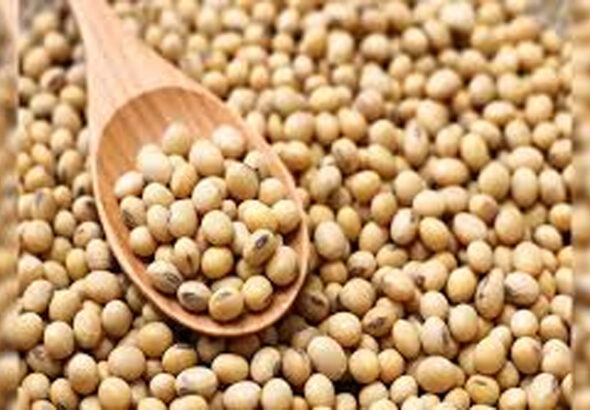 soyabin