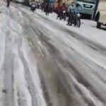 Untitled-24 copy.jpgoloe