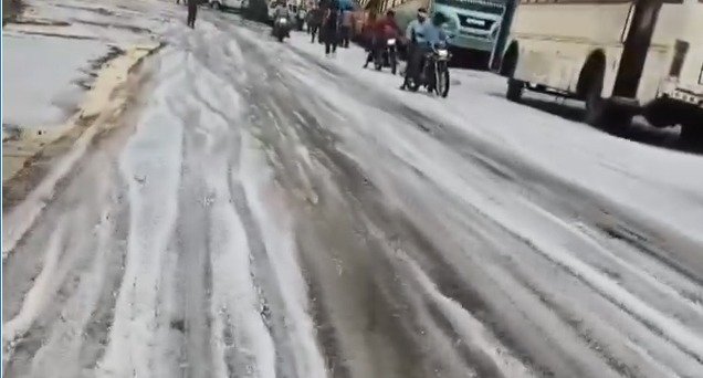 Untitled-24 copy.jpgoloe