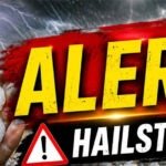 alert