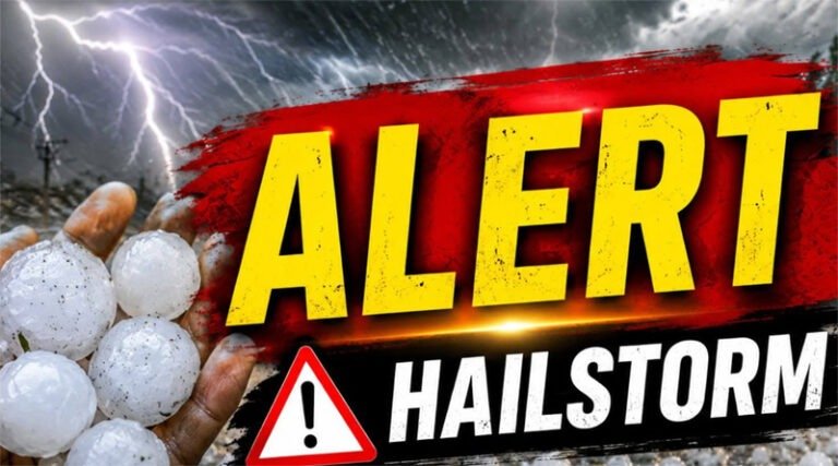 alert