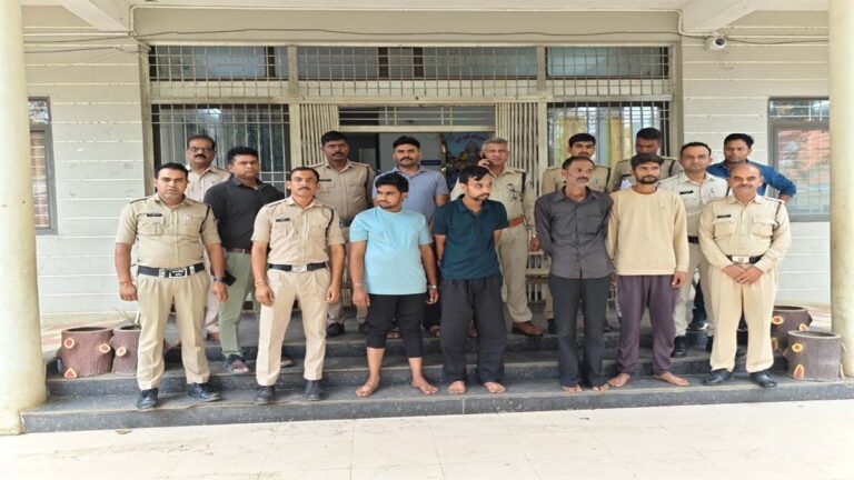 मुलताई किसानों के खेतों से भैंस चोरी करने वाले गिरोह के 04 आरोपी गिरफ्तार 24 multai