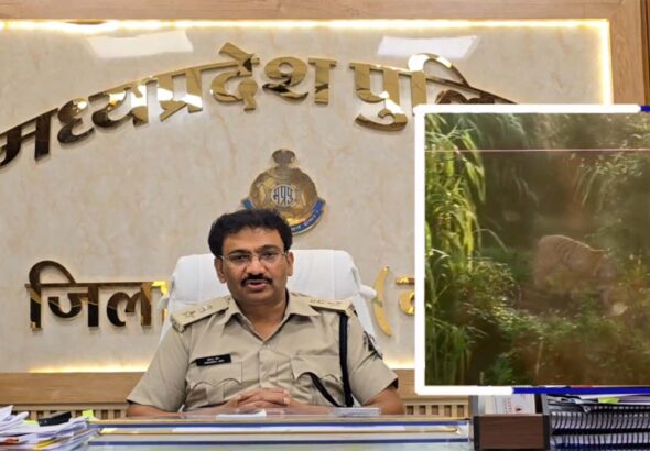 बैतूल एसपी वीरेंद्र जैन -आठनेर क्षेत्र में हिंसक बाघ/शेर की आमद, पुलिस और वन विभाग अलर्ट, ग्रामीणों से सतर्क रहने की अपील 6 sp